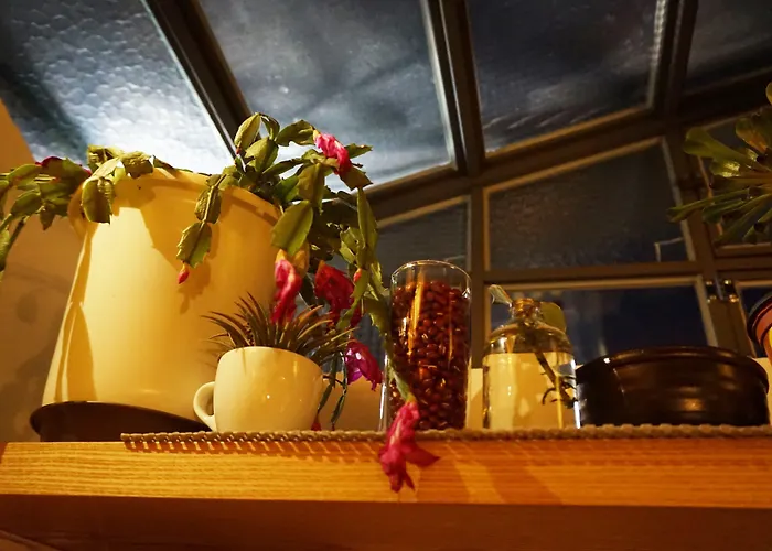 Nagne House 3*